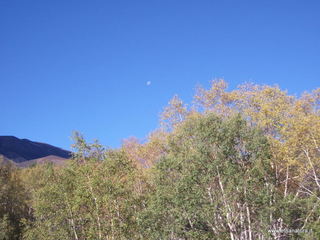 nti Sartorius-04-11-2012 08-46-25
